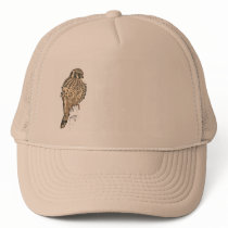 Kestrel Raptor Bird Hat