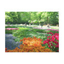 Keukenhof garden - Holland postcard