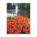 Keukenhof garden - Holland postcard