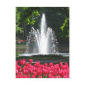 Keukenhof garden - Holland postcard