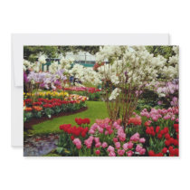Keukenhof gardens in Lisse, south of Amster Personalized Announcements