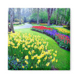 KEUKENHOF GARDENS, LISSE HOLLAND magnets