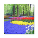 KEUKENHOF GARDENS, LISSE HOLLAND REFRIGERATOR MAGNETS
