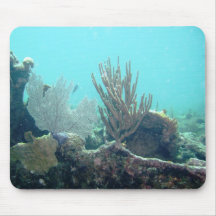 Key Largo Mouse Pads