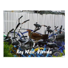Key West, Florida Postcard