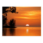 Key West Florida Sunset Post Card