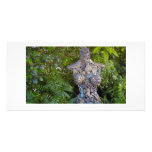 Key West Garden Sculpture Photo Card photo cards