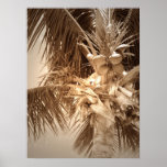Key West Palm - Sepia posters