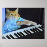 Keyboard Cat Wall Poster! posters