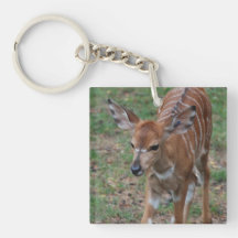 keychain acrylic keychains - Customised