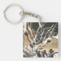 keychain acrylic keychains - Customised
