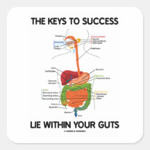 Keys To Success Lie Within Your Guts (Digestive) Square Stickers