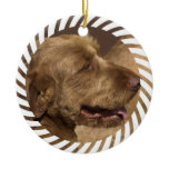 Khandu Afghan Hound Ornament