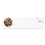 Khandu Afghan Hounds Bumper Stickers