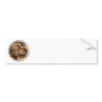 Khandu Afghan Hounds Bumper Stickers