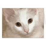 khat greeting card