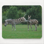 Kicking zebra mousepad