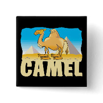 Kid Friendly Camel