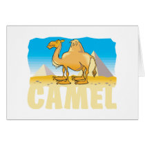 Kid Friendly Camel