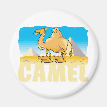 Kid Friendly Camel Magnets