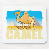 Kid Friendly Camel