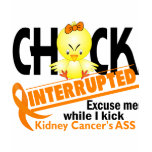 Kidney Cancer Chick Interrupted 2 t-shirts