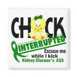 Kidney Disease Chick Interrupted 2 magnets