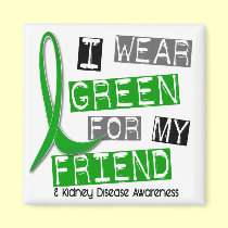 Kidney Disease I Wear Green For My Friend 37 magnets