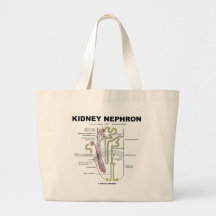 Kidney Nephron Bags