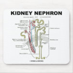 Kidney Nephron mousepads