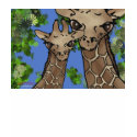 KIDS  baby giraffe t-shirt