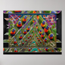 KIDS LOVE : Parrot Show Posters