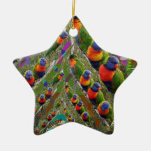 KIDS love Parrots Christmas Ornaments