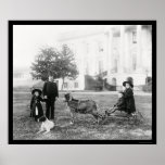 Kids on a Goat Cart at the White House 1890 posters