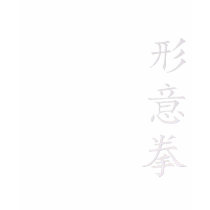 Kids xingyi shirt