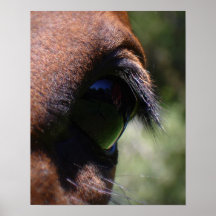 Kijken Glas Print