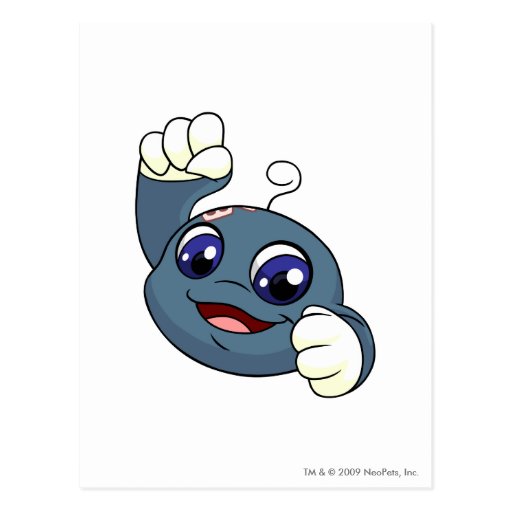 Kiko Blue Post Cards