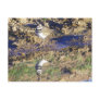 Kill Deer Post Cards