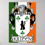Killeen Coat of Arms Irish Flag Print