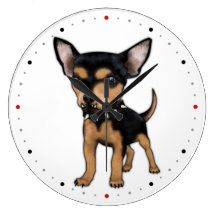 Killer Chihuahua