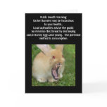 Killer Easter Bunny card