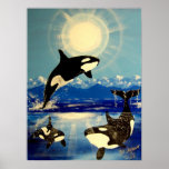 killer orca whale posters
