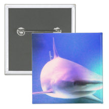 Killer Shark Square Pin