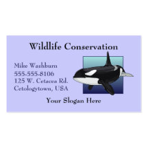 Killer Whale Business card