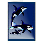 Killer Whale Family Cards