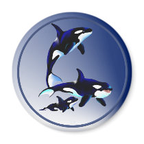 Killer Whale Family Magnets