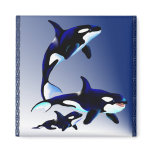 Killer Whale Family_Magnets