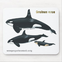 Killer Whale Family Mousepad
