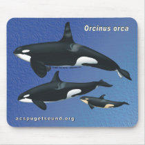 Killer Whale Family Mousepad - blue texture bkg