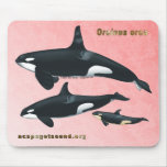 Killer Whale Family Mousepad with Pink Cedar bkg